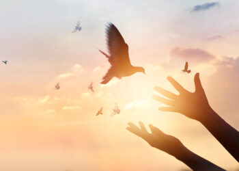 Ethereum Price Faces Crucial Test, Can ETH Clear This Hurdle To Kickstart Rally?